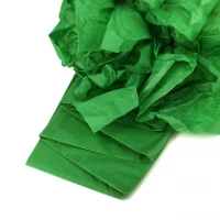 Бумага тишью 50*66 10 листов Зеленая